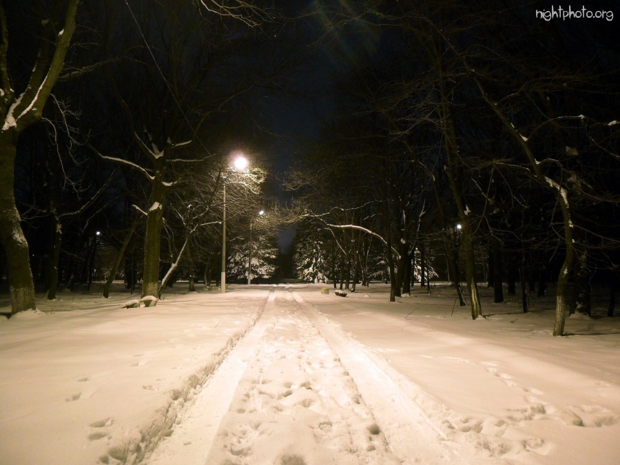 Горловка - Зимний парк