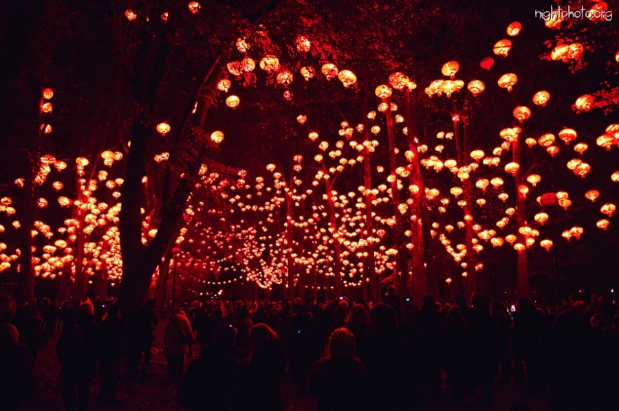 Франция - Фестиваль огней во Франции: «Lyon Festival of Lights 2013»