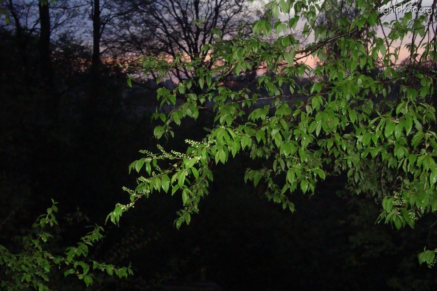 Медынь - Май 2012