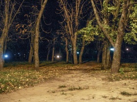 Чернигов - Ночная аллея