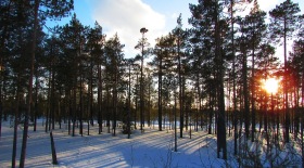 Лянтор - Солнце перед посадкой.