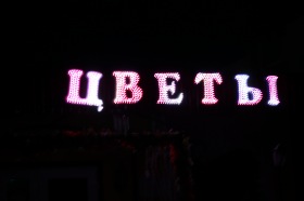 Пангоды - Цветы у Нели