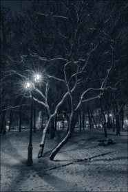 Харьков - Новогодний сюжет
