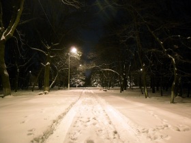 Горловка - Зимний парк