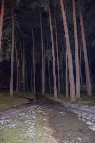 Гончаровское - Дорожка