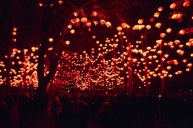 Франция - Фестиваль огней во Франции: «Lyon Festival of Lights 2013»