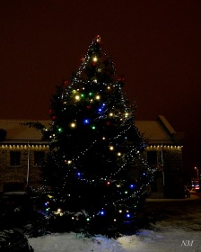Таллин - Tallinn